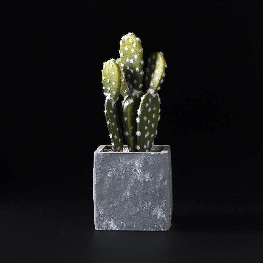 tło do fotografii produktowej