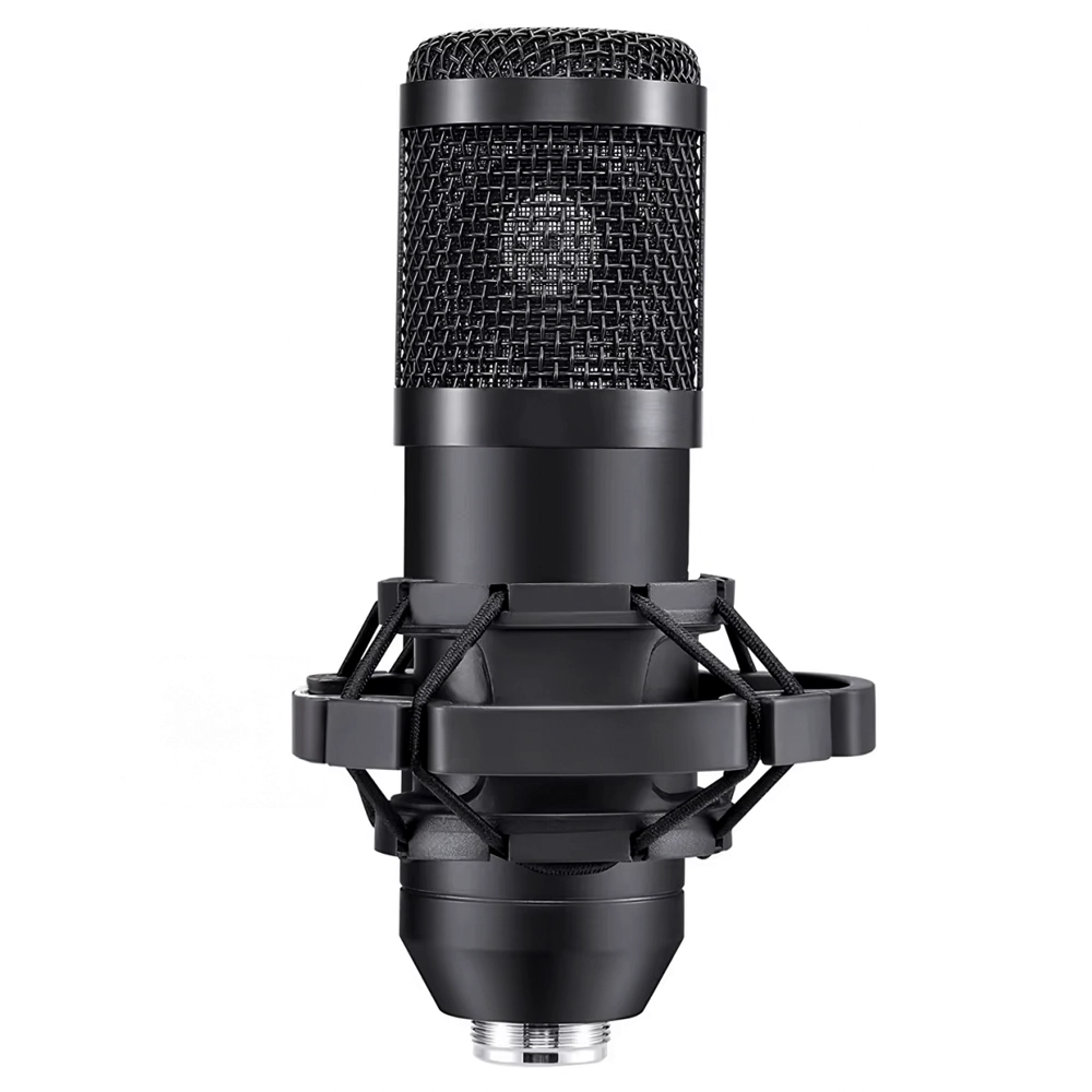 Profesjonalny Mikrofon USB 192KHz/24bit