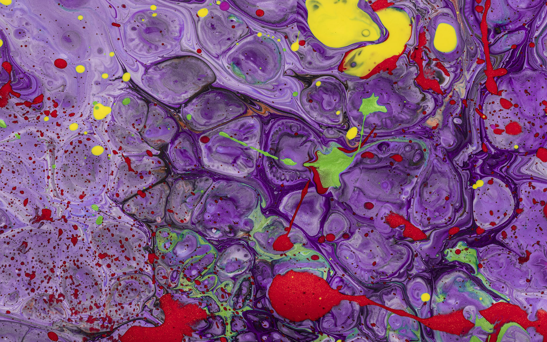 Tutaj wstawiasz opis alt zdjęcia