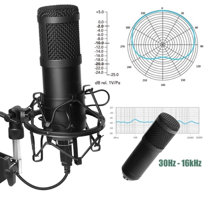 Mikrofon Studyjny Usb Jack Pojemnościowy Gamingowy Statyw Filtr Duzy Zestaw